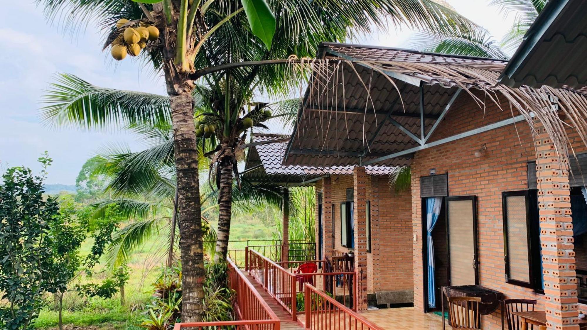 Gibbon Singing Home Stay Quan Tom Exteriér fotografie