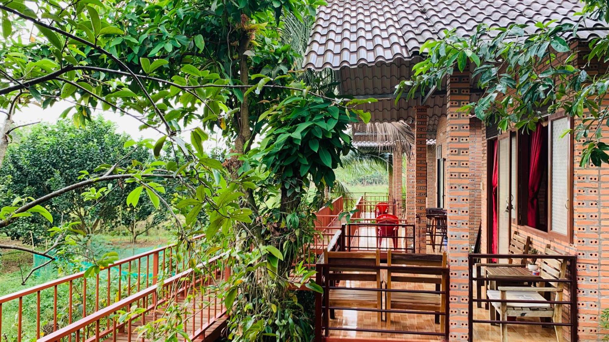 Gibbon Singing Home Stay Quan Tom Exteriér fotografie